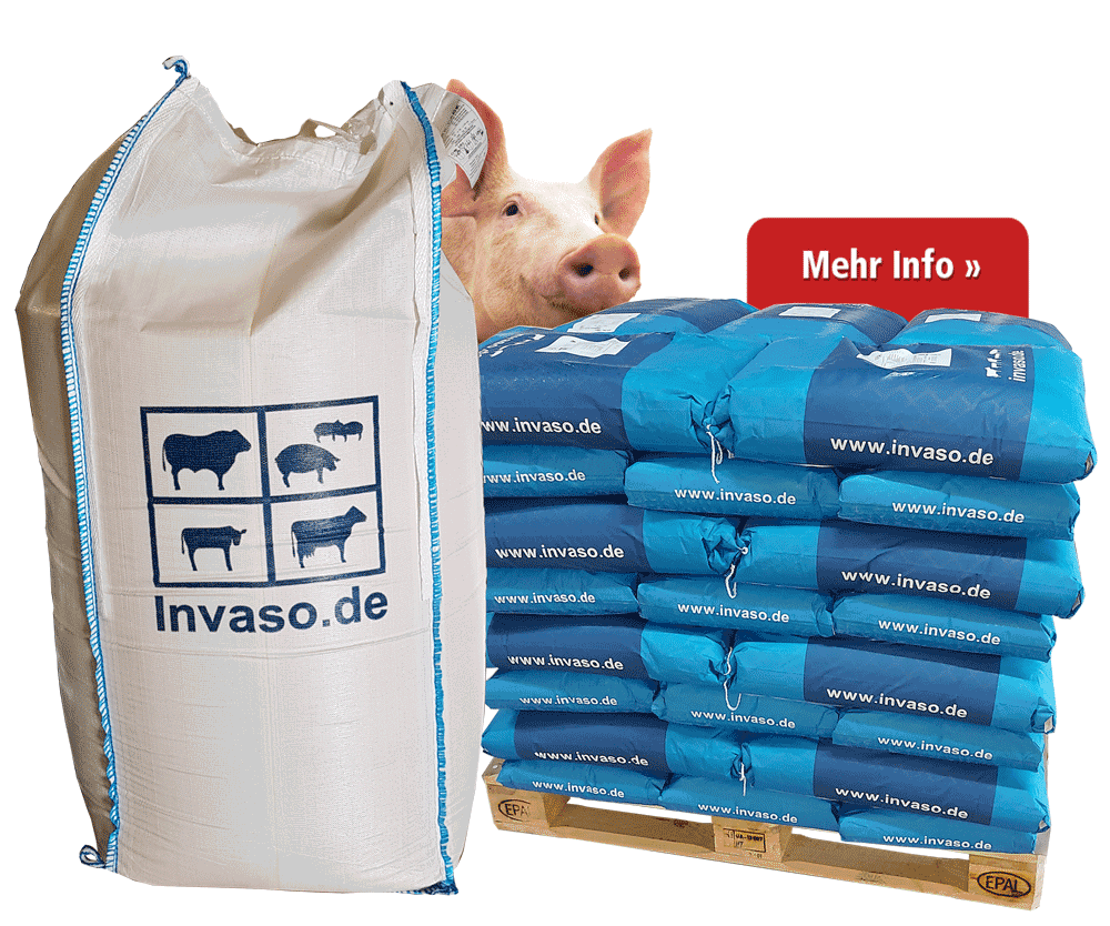 Neues Mineralfutter für Mastschweine title=
